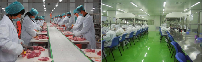 空間消毒設(shè)備食品廠應用臭氧機